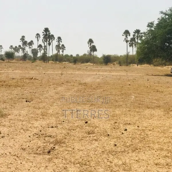 Terrain Agricole De 9103 M2 Vers Fimela – Fatick