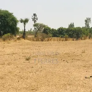 Terrain Agricole De 9103 M2 Vers Fimela – Fatick