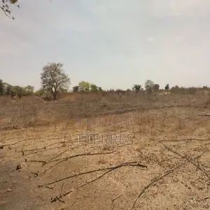 Verger De 9 Hectares Vers Sindia – Mbour