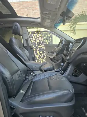 Hyundai Santa Fe 2017 Noir