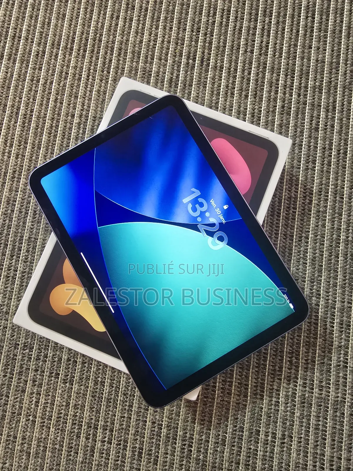 Apple iPad mini (2021) 64 GB Gris