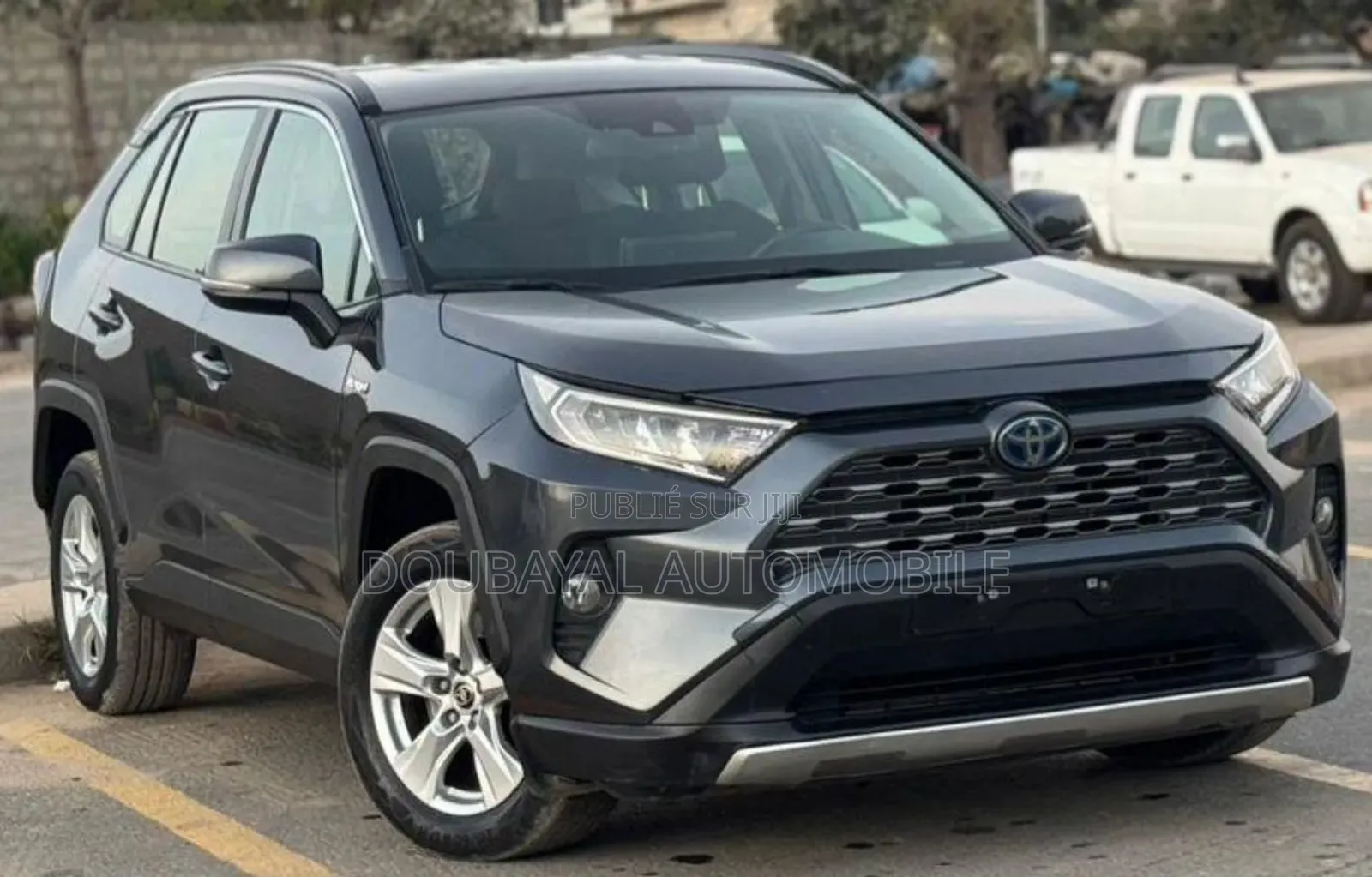 Toyota RAV4 2021 Gris