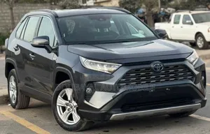 Toyota RAV4 2021 Gris