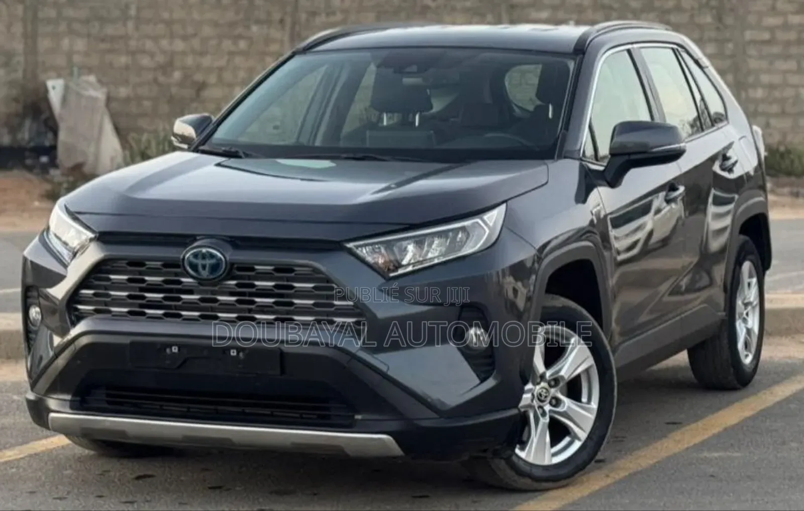Toyota RAV4 2021 Gris