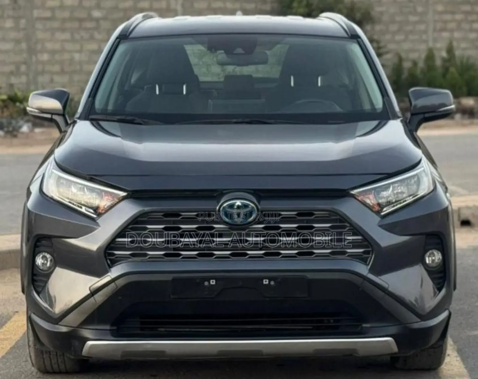 Toyota RAV4 2021 Gris