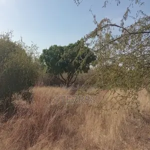 5.000 M2 De Terre Industriel Vers Sindia – Mbour