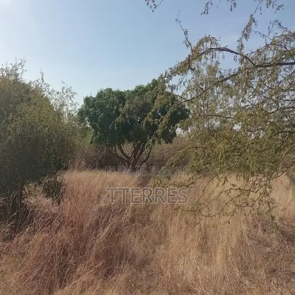 5.000 M2 De Terre Industriel Vers Sindia – Mbour