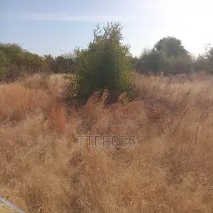 5.000 M2 De Terre Industriel Vers Sindia – Mbour