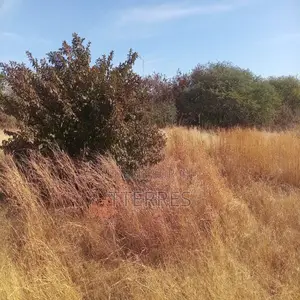 5.000 M2 De Terre Industriel Vers Sindia – Mbour