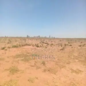 Terrain Industriel De 4 Hectares Vers Sindia – Mbour
