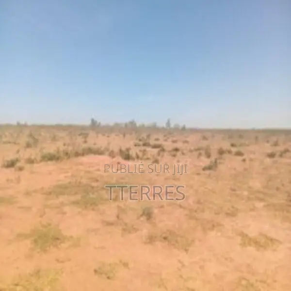 Terrain Industriel De 4 Hectares Vers Sindia – Mbour