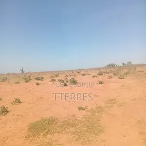 Terrain Industriel De 4 Hectares Vers Sindia – Mbour