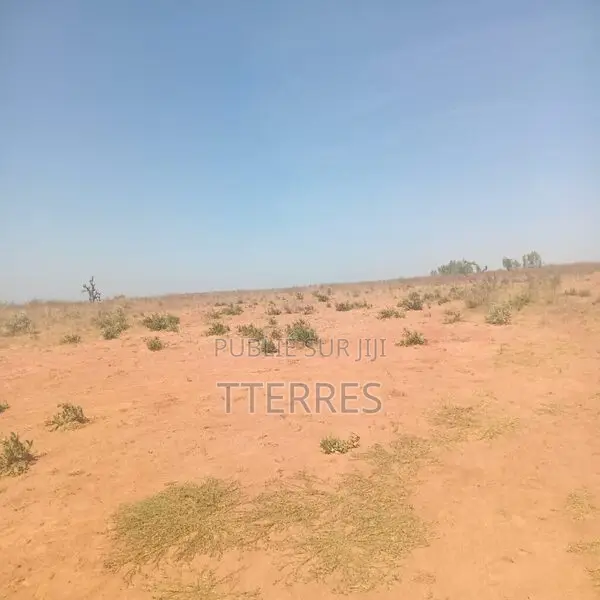 Terrain Industriel De 4 Hectares Vers Sindia – Mbour