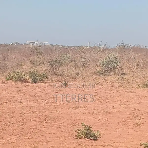 Terrain Industriel De 4 Hectares Vers Sindia – Mbour
