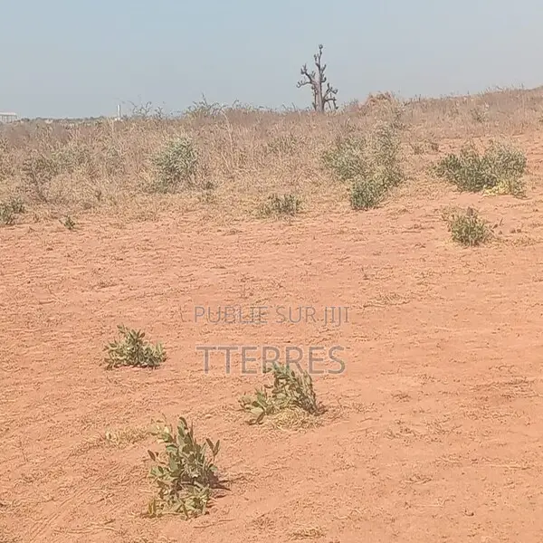 Terrain Industriel De 4 Hectares Vers Sindia – Mbour