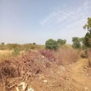 Terrain Industriel De 1 Hectare Vers Sindia – Mbour