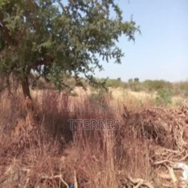 Terrain Industriel De 1 Hectare Vers Sindia – Mbour