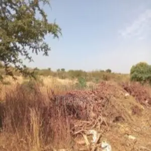 Terrain Industriel De 1 Hectare Vers Sindia – Mbour