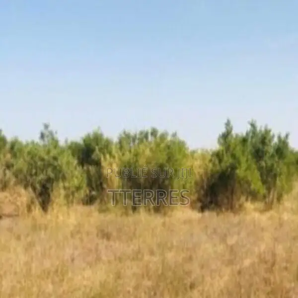 Terrain Industriel De 2 Hectares Vers Fandéne – Thiès