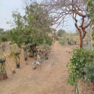 Terrain Industriel De 1,8 Hectare Vers Sindia-Mbour