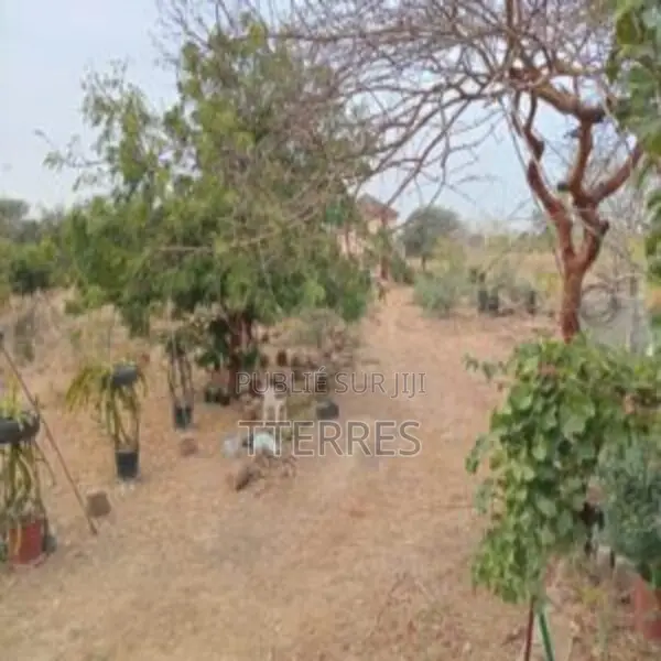 Terrain Industriel De 1,8 Hectare Vers Sindia-Mbour