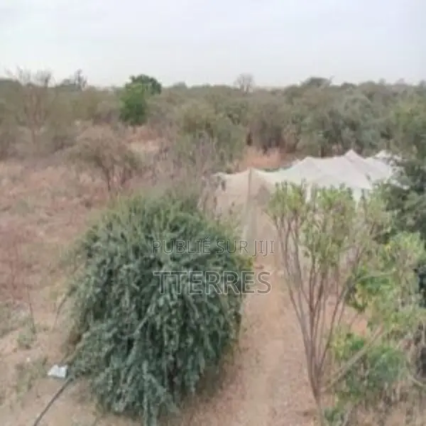 Terrain Industriel De 1,8 Hectare Vers Sindia-Mbour