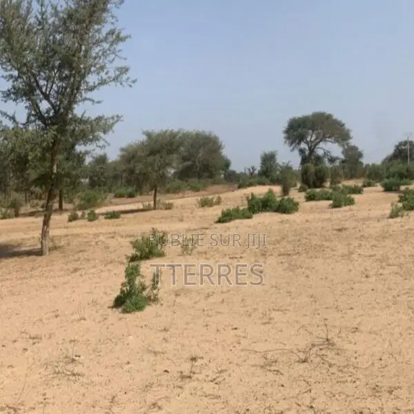 Terrain Industriel De 6 Hectares en Bordure De Route Vers Touba Toul S