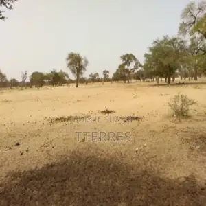 Terrain De 4356 Mètres Carrés Ouvert Sur Piste Vers Baba Garage