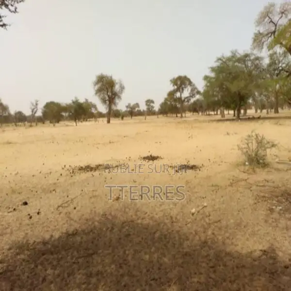 Terrain De 4356 Mètres Carrés Ouvert Sur Piste Vers Baba Garage