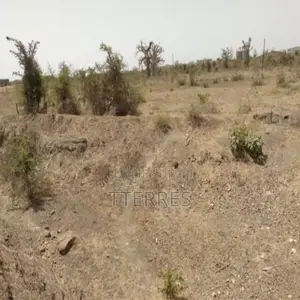 Terrain De 3,18 Hectares en Bordure De Route Vers Keur Moussa