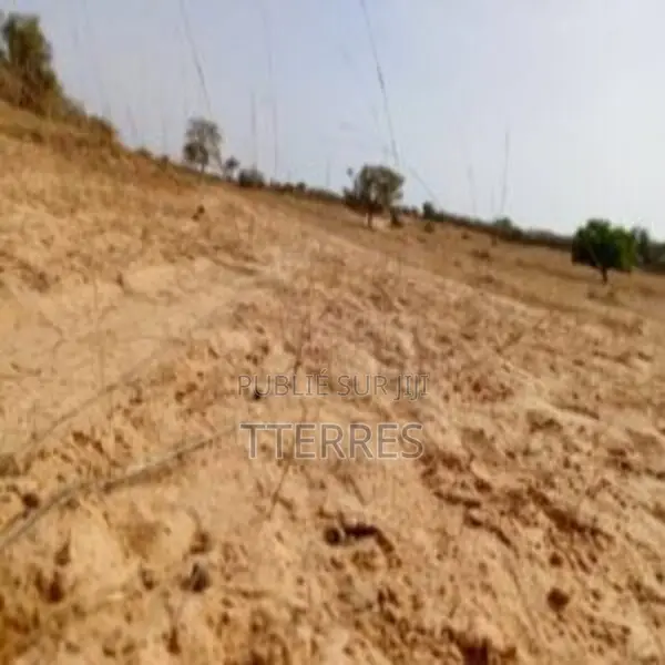 Terrain De 3,30 Hectares en Bordure De La Rn2 Vers Louga