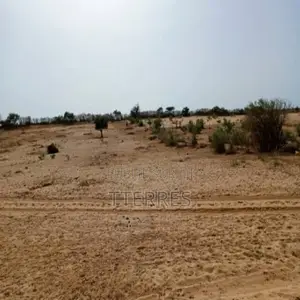Terrain De 3,30 Hectares en Bordure De La Rn2 Vers Louga