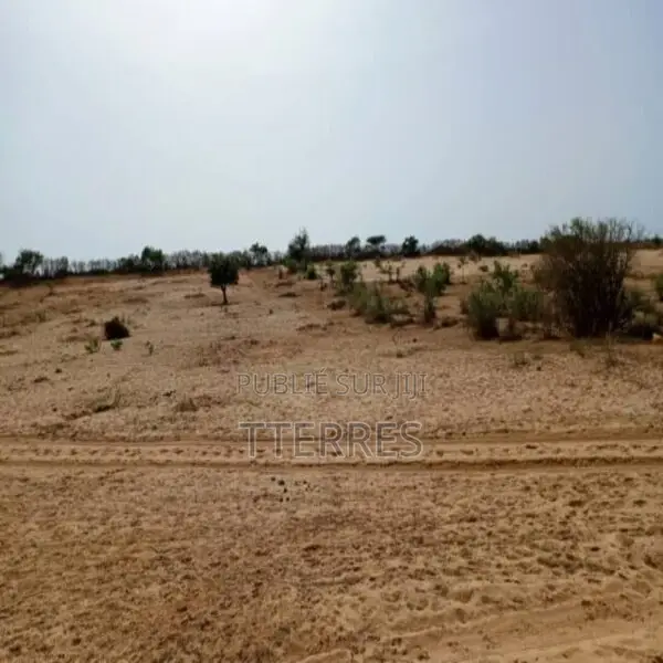 Terrain De 3,30 Hectares en Bordure De La Rn2 Vers Louga