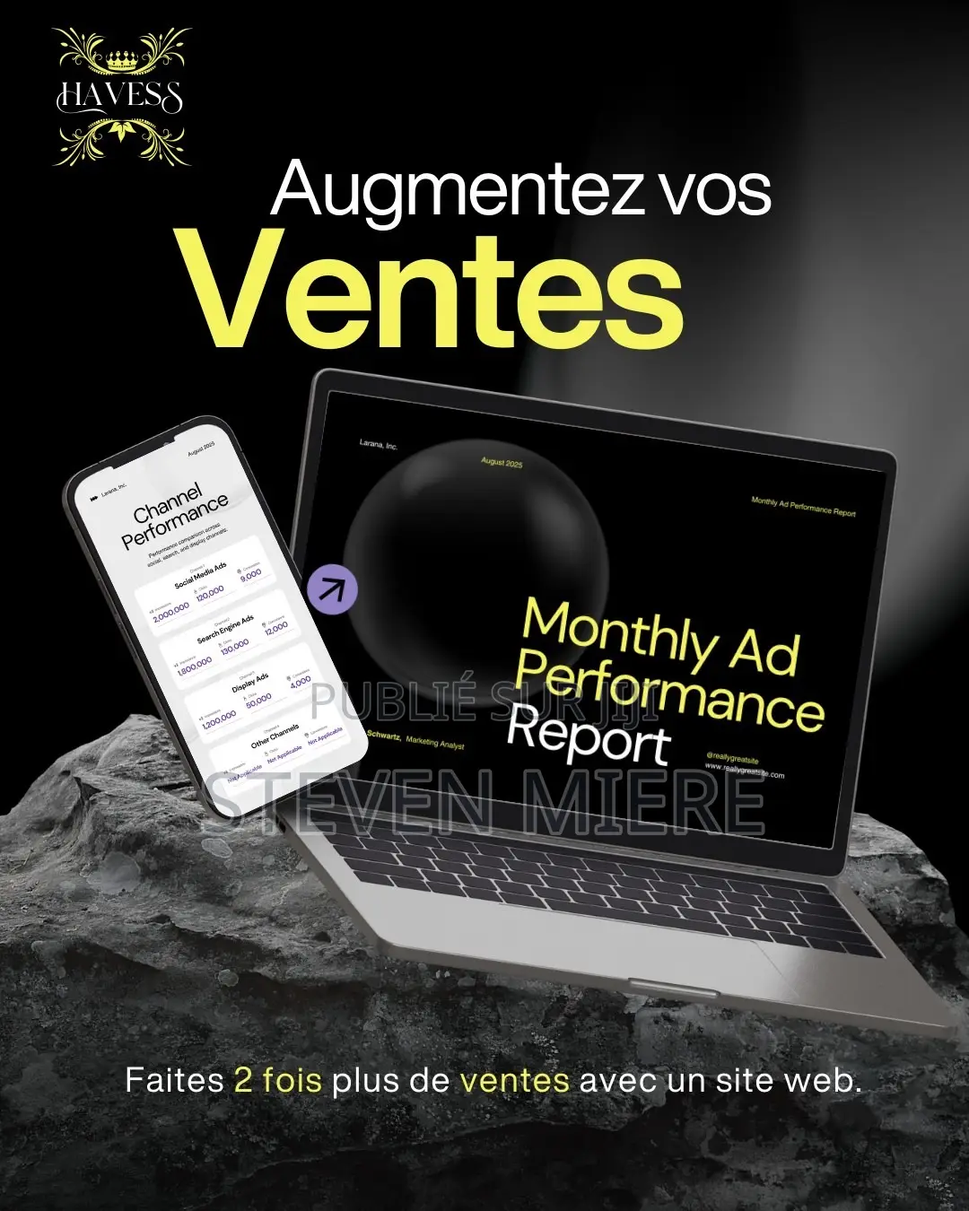 Site Web Professionnel