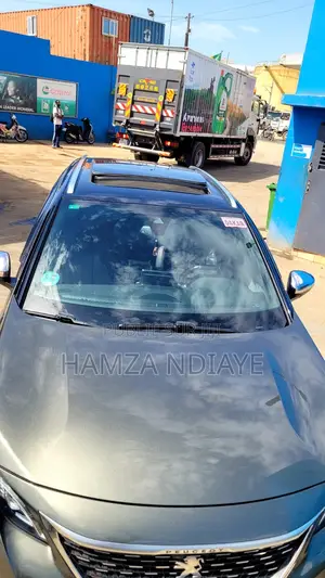 Peugeot 3008 2017 Gris