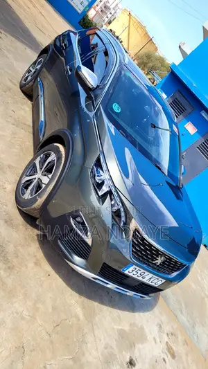 Peugeot 3008 2017 Gris