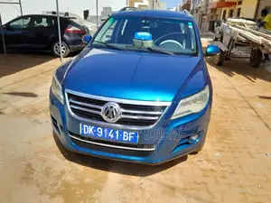 Volkswagen Tiguan 2010 Bleu