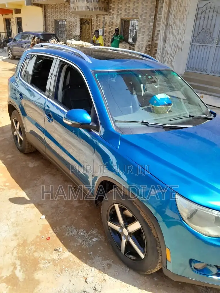 Volkswagen Tiguan 2010 Bleu