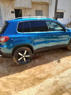 Volkswagen Tiguan 2010 Bleu