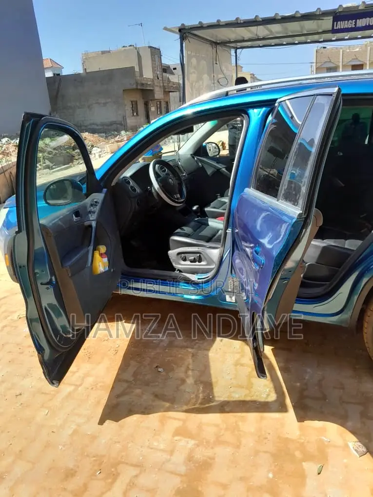 Volkswagen Tiguan 2010 Bleu