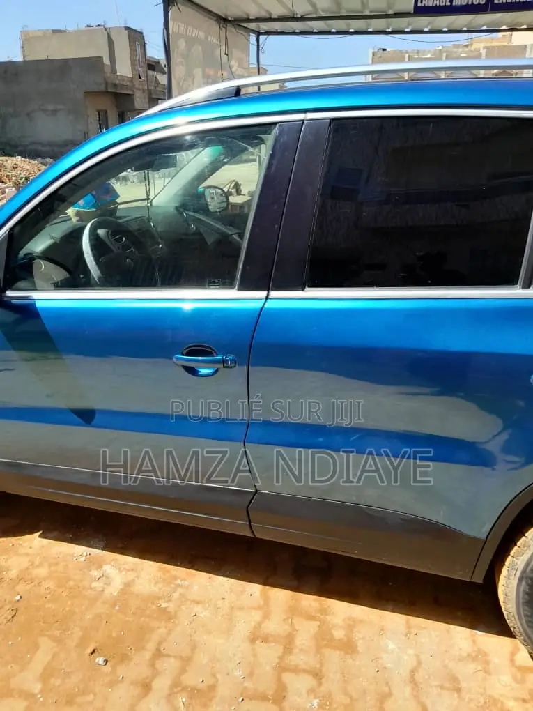 Volkswagen Tiguan 2010 Bleu