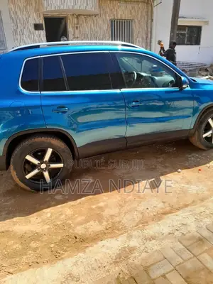 Volkswagen Tiguan 2010 Bleu