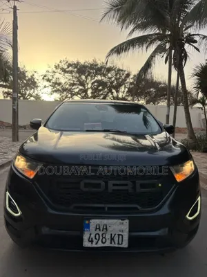 Ford Edge 2015 Noir Mat