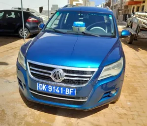 Volkswagen Tiguan 2010 Bleu