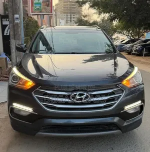 Hyundai Santa Fe 2017 Noir Mat