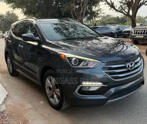 Hyundai Santa Fe 2017 Noir Mat