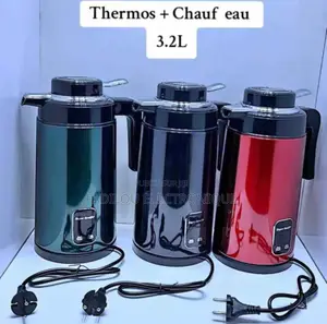 Bouilloire Électronique Thermos