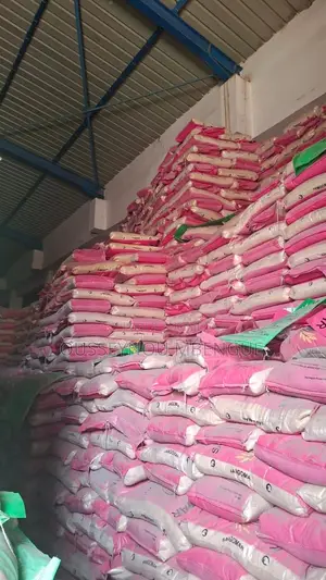 Riz Sangomar Parfumé Et Non Parfumé Disponible