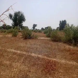 Terrain Agricole De 2,07 Hectares Vers Tassette – Thiès