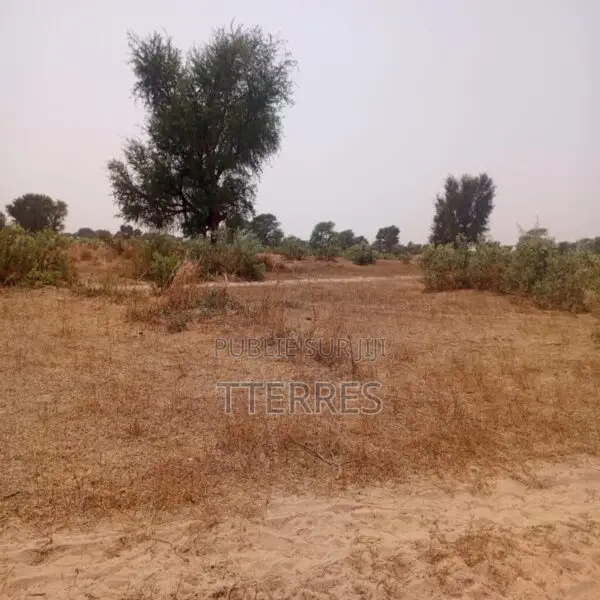 Terrain Agricole De 2,07 Hectares Vers Tassette – Thiès
